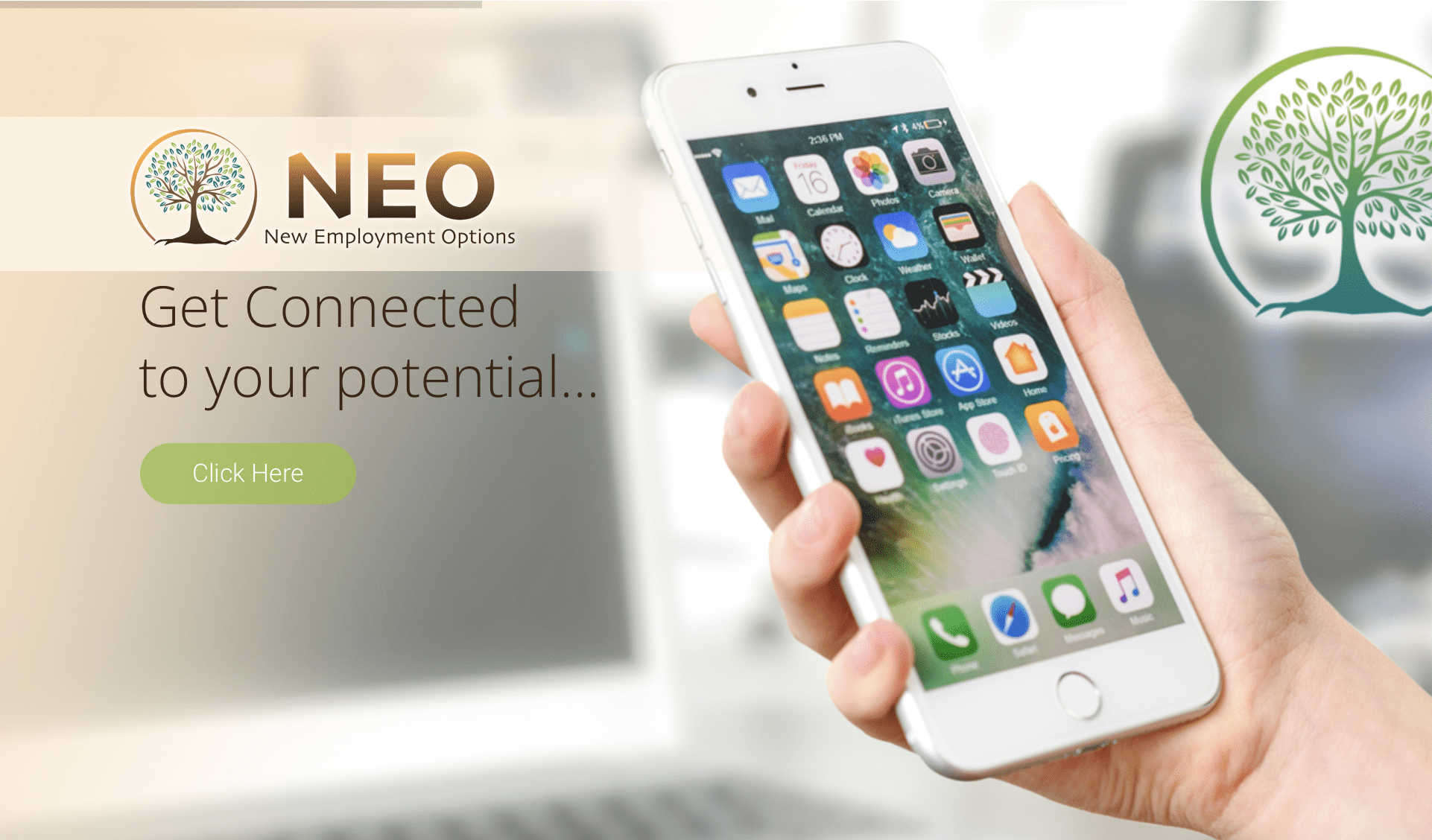 New Employment Options - NEO